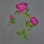 Decorative peony branch MEIRU, dark purple, 70 cm, Ø 9–12 cm