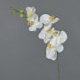 Artificial Phalaenopsis Orchid Branch LANUA, cream, 70 cm, Ø 8.5–12 cm