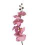 Artificial Phalaenopsis orchid branch LANUA, pink, 70 cm, Ø 8.5–12 cm