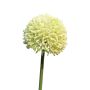 Artificial Allium BAILIN, cream-green, 45cm, Ø6.5cm