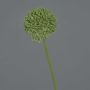 Artificial Allium BAILIN, green, 45cm, Ø6.5cm