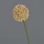 Artificial Allium BAILIN flower, pink-cream, 45 cm, Ø 6.5 cm