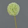 Artificial flower: Allium BAILIN, cream-green, 65cm, Ø10cm