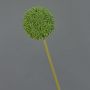 Artificial Allium BAILIN, green, 65cm, Ø10cm