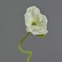 ANKANG decorative poppy, cream, 70cm, Ø9.5cm