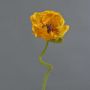 ANKANG decorative poppy, orange-yellow, 70cm, Ø9.5cm