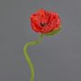 ANKANG decorative poppy, red, 70cm, Ø9.5cm
