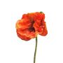 ANKANG decorative poppy, orange, 70cm, Ø9.5cm