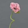 ANKANG decorative poppy, pink, 70cm, Ø9.5cm