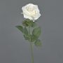 KAILIN artificial rose, cream, 65cm, Ø9cm