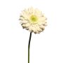 Artificial gerbera QIUDONG, cream, 50 cm, Ø12 cm