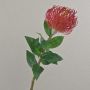 Artificial flower pincushion – Protea XIFANG, red, 75 cm, Ø 10 cm