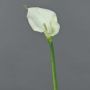 Artificial Zantedeschia flower ZHILONG, white, 55cm, 10x16cm