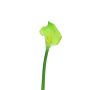 Artificial Zantedeschia flower ZHILONG, light green, 55cm, 10x16cm