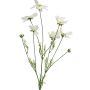 Decorative flower branch for decorative basket BAILING, cream, 90 cm