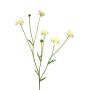 Artificial knapweed branch TAOTAO, cream, 65cm, Ø4–5cm