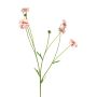 Artificial knapweed branch TAOTAO, pink-rose, 65cm, Ø4–5cm