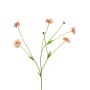 Artificial knapweed branch TAOTAO, pink, 65cm, Ø4–5cm