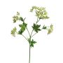 Plastic Euphorbia marginata MENGWEN branch, flowers, cream-green, 65cm
