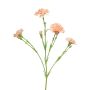 Decorative carnation ‘AHONG’, pink, 60 cm, Ø 6–7 cm