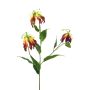 Decorative flower branch, crown of glory XIANGTING, burgundy-yellow, 85 cm