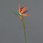 Artificial Strelitzia WEIYU, orange-purple, 60cm, 10x13cm