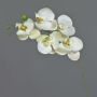 SONGYA Phalaenopsis Orchid Decorative Branch, white and green, 50 cm, Ø 6–7 cm