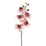 SONGYA Phalaenopsis Orchid Decorative Branch, pink-cream, 50cm, Ø6–7cm
