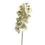 SONGYA Phalaenopsis Orchid Decorative Branch, white, 105 cm
