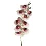 Decorative Phalaenopsis orchid branch SONGYA, pink-cream, 105cm