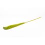 Dried bunch of reeds DONJETA, apple green, 4ft/115-120cm, Ø6"/15cm