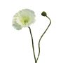 YILAN decorative poppy, white, 60 cm, Ø12 cm