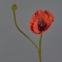 Decorative YILAN poppy flower, red, 60cm, Ø12cm
