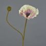 Decorative Poppy Flower YILAN, pink and white, 60 cm, Ø12 cm