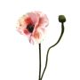 YILAN decorative poppy flower, pink-pink, 60cm, Ø12cm
