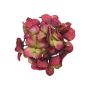 Artificial Hydrangea FUHUA, red and green, 23 cm, Ø 14 cm