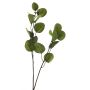 Artificial eucalyptus branch AOSHAN, green, 80cm