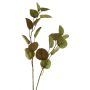 Artificial Eucalyptus Branch AOSHAN, brown-green, 80 cm