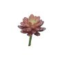 Artificial Sedum rubrotinctum AOLUO on a stem, burgundy, 16cm