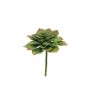 Foam Echeveria morani XINYA on a stick, green-red, 17cm