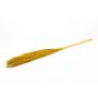 Dried bunch of reeds DONJETA, curry, 4ft/115-120cm, Ø6"/15cm