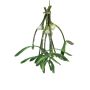 Plastic bunch of white-berried mistletoe NUORAN, frozen, berries, green, 15cm