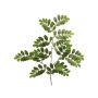 Plastic black locust branch WENLIN, green, 70cm