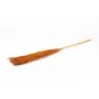 Dried bunch of reeds DONJETA, terracotta, 4ft/115-120cm, Ø6"/15cm