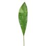 Decorative leaf, club lily XIANGAN, green, 90cm