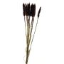 Plastic bunch of wheat YANGMEI, burgundy, 55cm