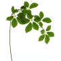 Artificial apple tree branch SHUYI, green, 85cm