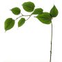 Artificial dogwood branch SHUNNAN, green, 75cm
