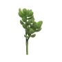Artificial succulent Money Tree MUNING, on a stick, green, 14 cm