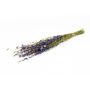 Dried flower bouquet Delphinium AITHANA, blue-green, 28"/70cm, Ø7"/18cm